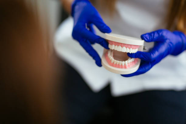 Emergency Dental Services in Beach Park, IL